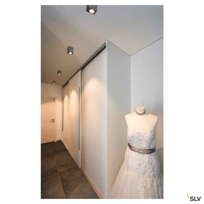 TRILEDO Single, Indoor surface-mounted ceiling light, QPAR51, brushed aluminium, max 10W