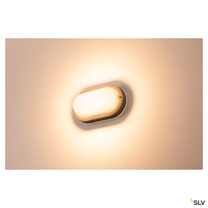 TERANG 2, outdoor wall and ceiling light, LED, 3000K, IP44, oval, anthracite, 11W